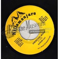 Apachy Scratchie - Stepper (bam bam remix) - Classic Cuts 7"