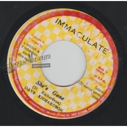 Dingles - Spread Out - Rudwill 7"