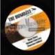 Augustus Pablo - Pablo In Dub - Santic 7"