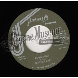 Baba Leslie - Mr Fix It - Tribes Man 7"