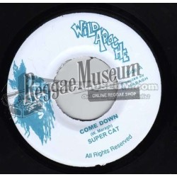 Baby Wayne & Powerman - Wicked Sound - Stone Love 7"