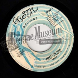 Beenie Man - Nothing Gonna Change - Fat Eyes 7"