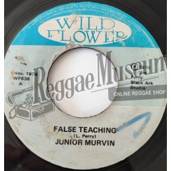 Junior Murvin - False Teaching [Wild Flower]