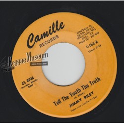 Jimmy Riley - Tell The Youth The Truth - High Note 7"