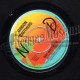 Red Dragon - Canter Mi Horse - Taurus 7"