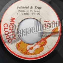Shelton Walks - Faithful & True [Mighty Cloud]