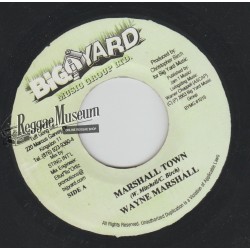 Wayne Marshall - Marshall Town - Big Yard 7"